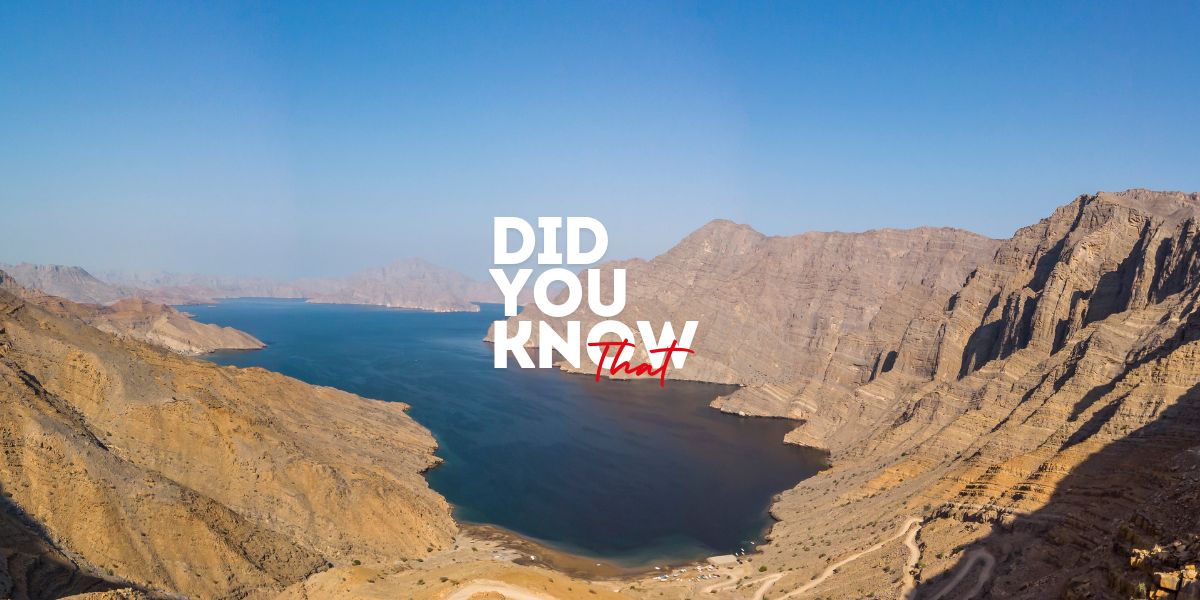 Did You Know That | Week 25-26 | 2026