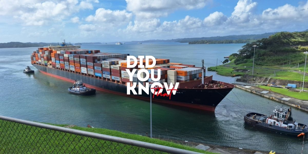 Did You Know That | Week 39 | 2026